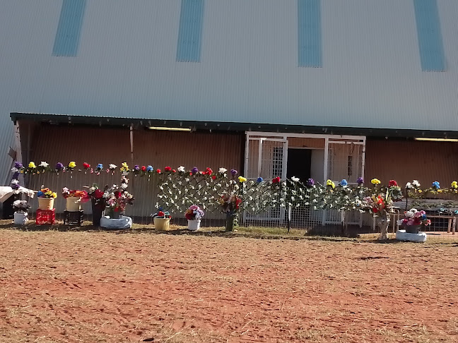 Comments and reviews of Friggin Båstad