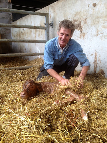 Högenvägen 112, 439 64 Frillesås