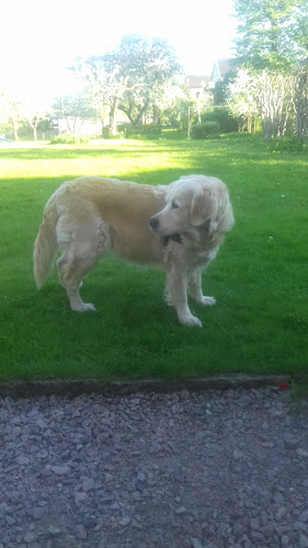 Warenbergsgatan 12, 521 35 Falköping