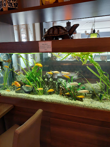 Thai House Restaurant - Gastronomi och hotellverksamhet