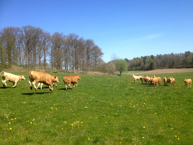 Opinii despre Högens Gård AB în Frillesås - Gastronomi och hotellverksamhet