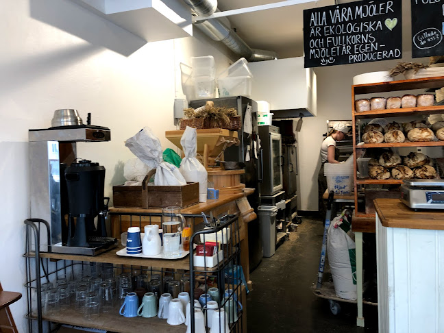 Comentarii opinii despre Spigamadre