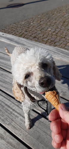 Sundspromenaden 13, 211 16 Malmö