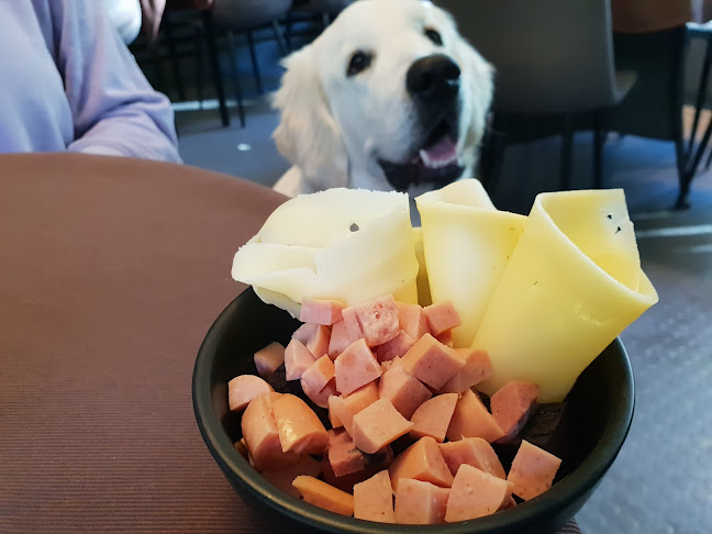 Opinii despre Himmelska hundar în Stockholm - Gastronomi och hotellverksamhet