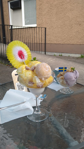 Comentarii opinii despre Mitt i går´n