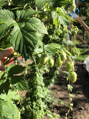 Opinii despre Harknivens Kultur AB în Bräkne-Hoby - Gastronomi och hotellverksamhet