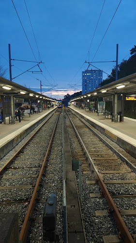 Comments and reviews of Alviks torg