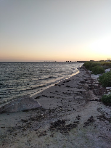 Grillplats - Gastronomi och hotellverksamhet