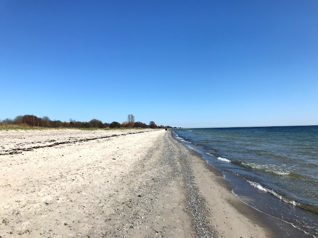 Strandkiosken - Gastronomi och hotellverksamhet