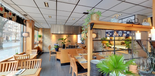 Comentarii opinii despre Mikado