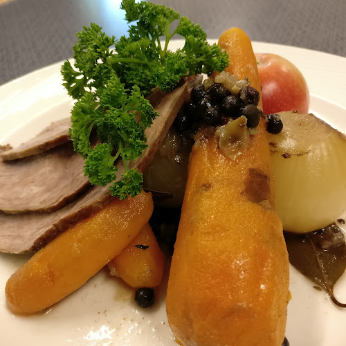 Comentarii opinii despre Åsikten