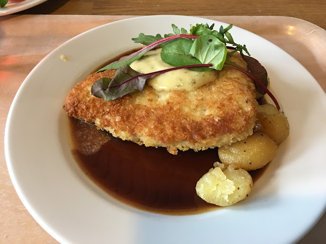 Falkegrens Kök - Gastronomi och hotellverksamhet