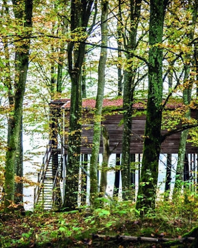 Treehouse Hovdala - Gastronomi och hotellverksamhet