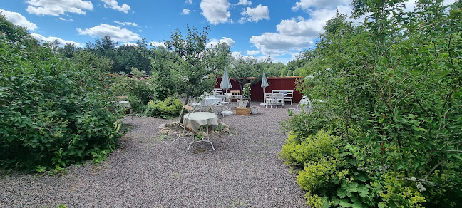 Rommelsjö Café - Gastronomi och hotellverksamhet