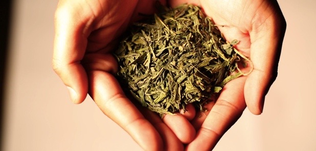 The Tea Centre of Stockholm - Gastronomi och hotellverksamhet