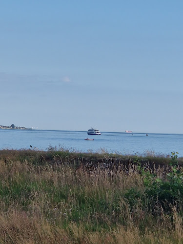 Comentarii opinii despre Bistråå Strandkrog & Minigolf