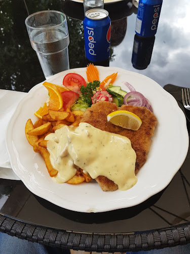 Comentarii opinii despre Dolce Vita