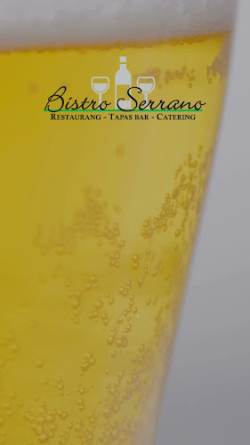 Opinii despre Bistro Serrano - Restaurang Mjölby în Mjölby - Gastronomi och hotellverksamhet
