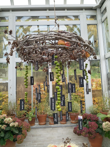 Orangeriet Restaurang