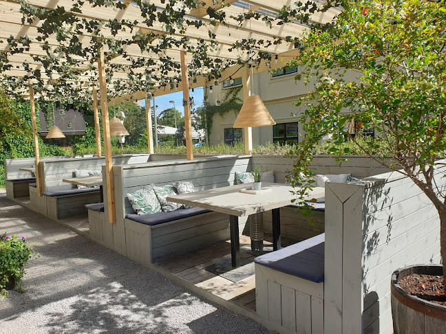 Comentarii opinii despre Grillo