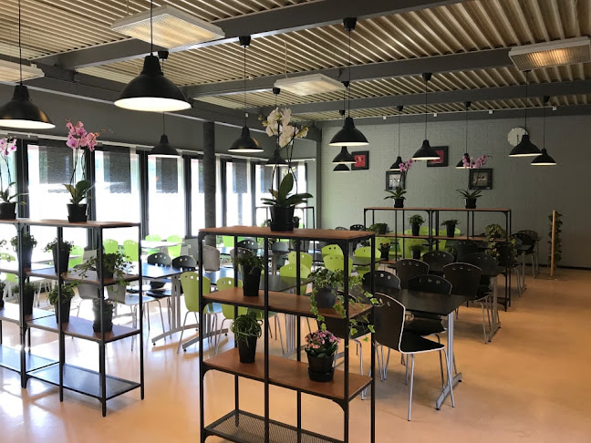 Papaya Restaurang Kristinehamn - Kristinehamn