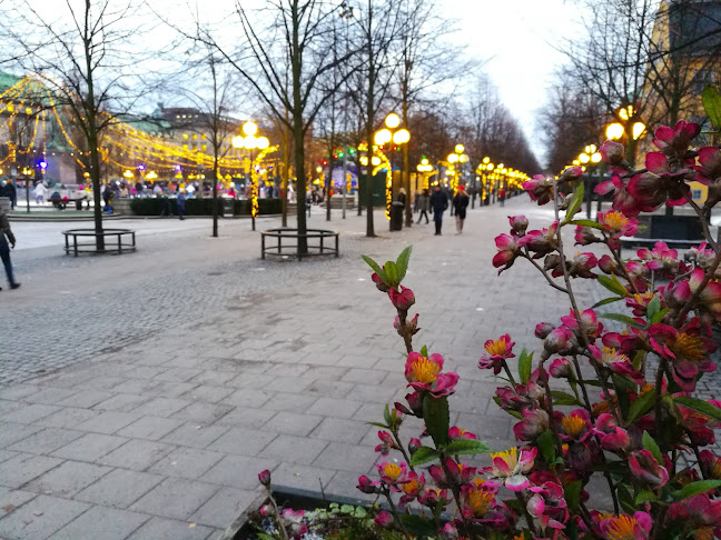 Reviews of Harry B James in Stockholm - Gastronomi och hotellverksamhet