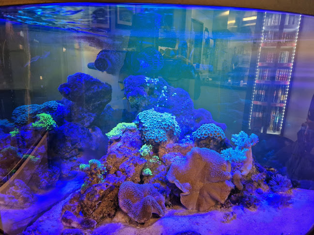 Kronoparkens Pizzeria - Gastronomi och hotellverksamhet