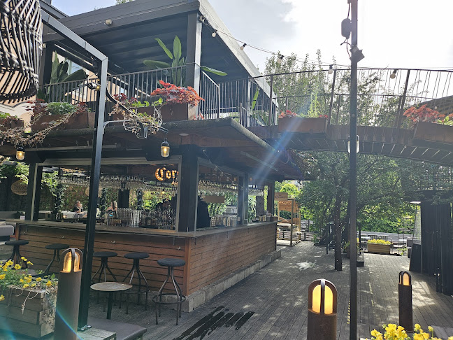 Trädgår'n Norrköping - Norrköping