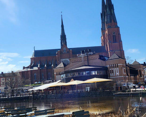 Café Årummet - Gastronomi och hotellverksamhet
