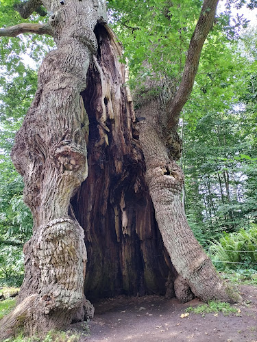 Bosjökloster 110, 243 95 Höör