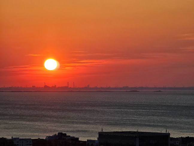 Dag Hammarskjölds torg 2, 211 18 Malmö