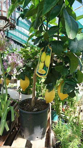 Reviews of Österlenkryddor in Köpingebro - Gastronomi och hotellverksamhet