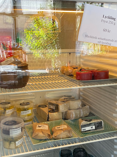 Comments and reviews of Blackbird