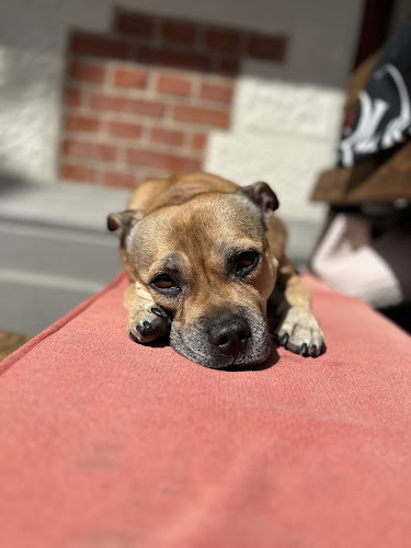 Friisgatan 4, 211 41 Malmö