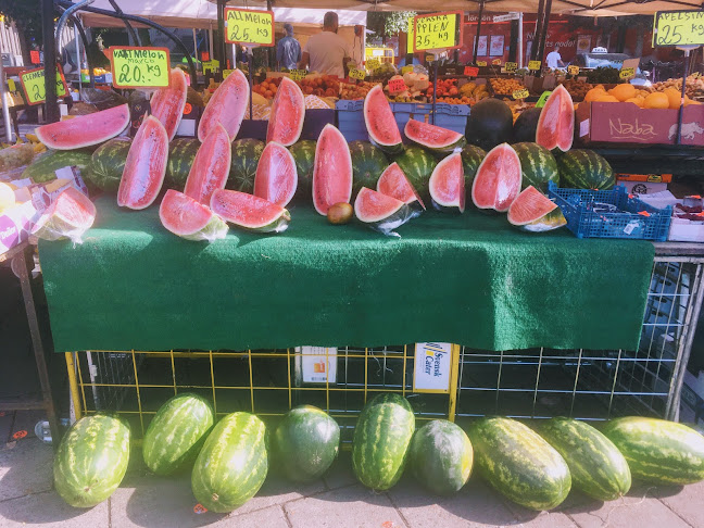 Comentarii opinii despre Brommaplan Salutorg