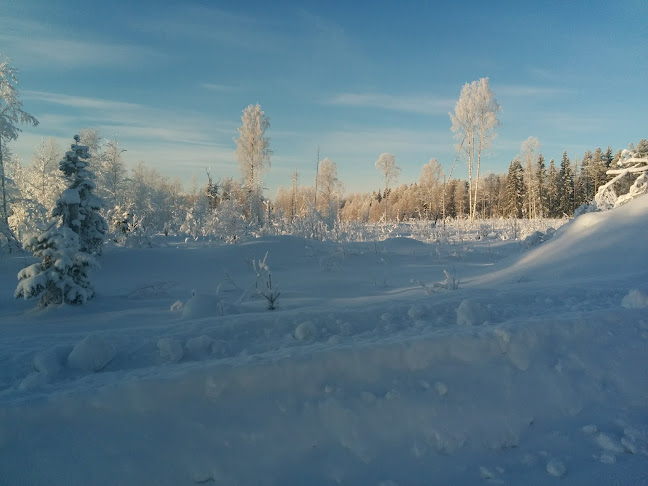 JOBmeal Luleå - Luleå