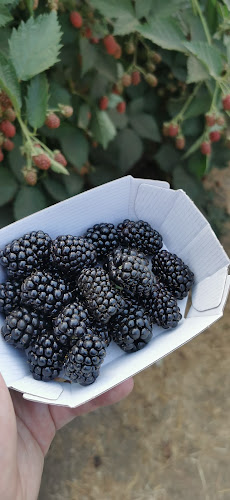 Comentarii opinii despre Eriksgården - restaurang och gårdsbutik