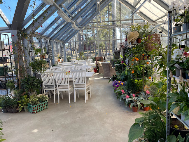 Tindered Trädgård Café - Edsbruk