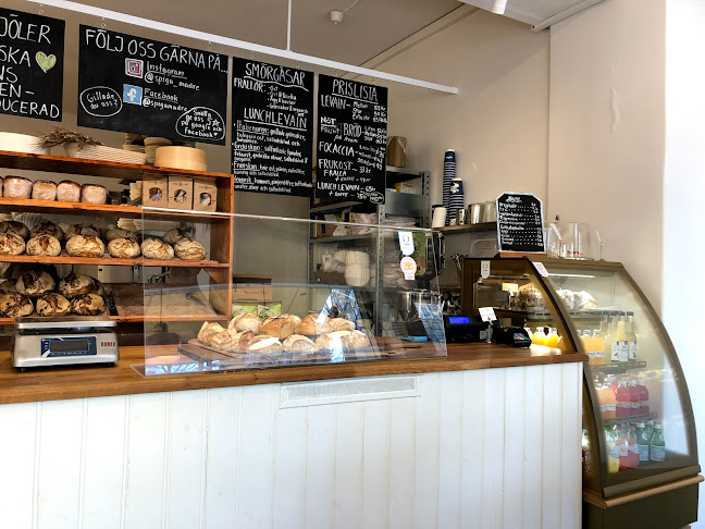 Comentarii opinii despre Spigamadre