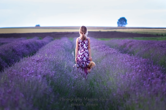 Österlenkryddor Phone number