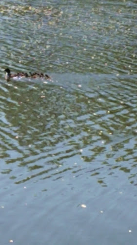 Matverkstan - Gastronomi och hotellverksamhet