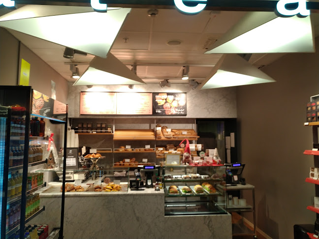 Comentarii opinii despre Gateau