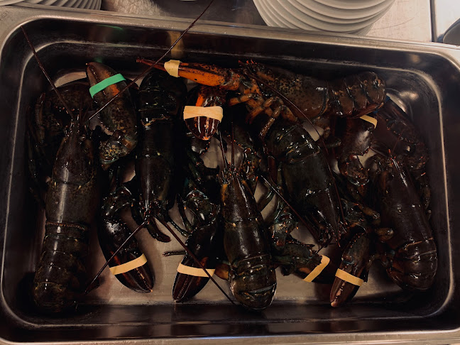 Opinii despre Genuin în Malmö - Gastronomi och hotellverksamhet