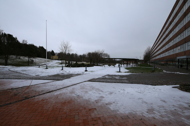 Opinii despre SiV:s restaurang în Varberg - Gastronomi och hotellverksamhet