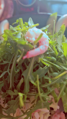 Dragon Pizza Deli Pasta Grill - Gastronomi och hotellverksamhet