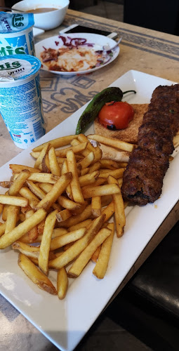 Memozin Kolgrill - Gastronomi och hotellverksamhet