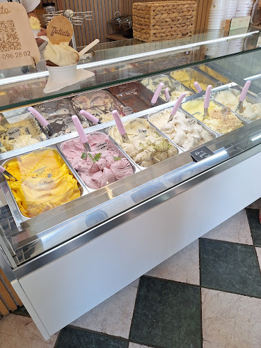 Comentarii opinii despre Gotlato