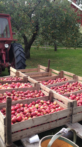 Granum Musteri - Uppsala