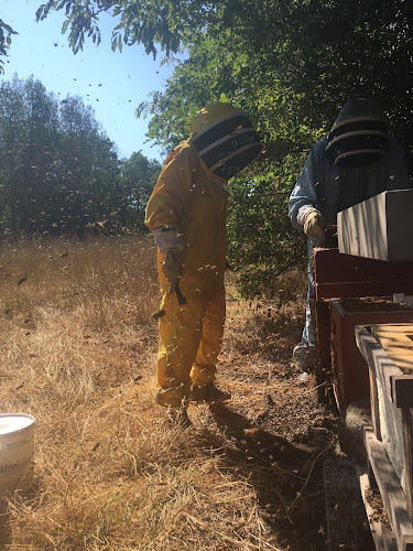 Comentarii opinii despre Nydala Bigård På Öland / Svenska Bivaxljus