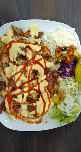 Hayat Döner - Gastronomi och hotellverksamhet